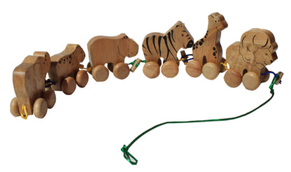 Wooden Nature Wonder Play Set