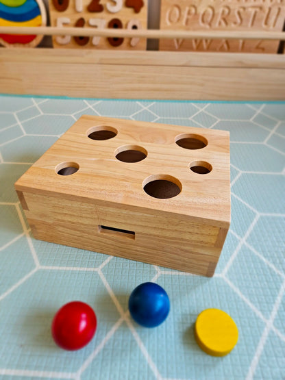 Peek a Boo Wooden Sorting Box